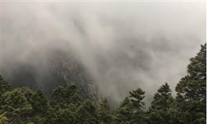 Misty Forest Calming Music